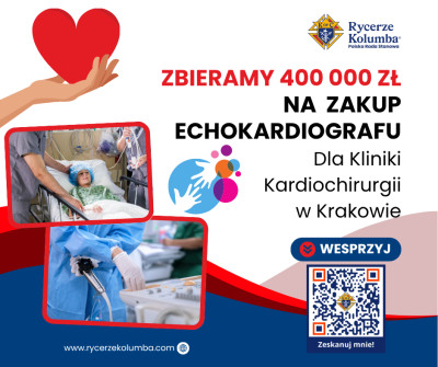 Dzieło Miłosierdzia - Peregrynacja